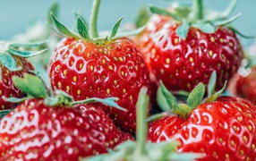 Ягоды спелой клубники с зелеными хвостиками