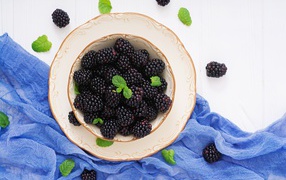 Вкусная спелая ежевика в тарелке на белом фоне с синей тканью 