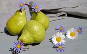 Три груши на столе с цветами