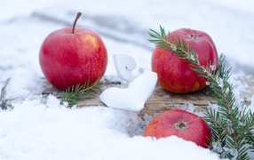 Три красных яблока лежат на снегу с еловой веткой 