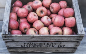 Деревянный ящик с красными спелыми яблоками