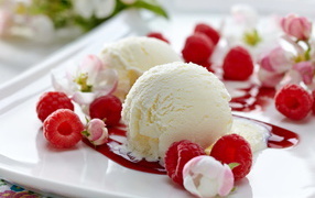 Шарики сливочного мороженого на тарелке с малиной и цветами