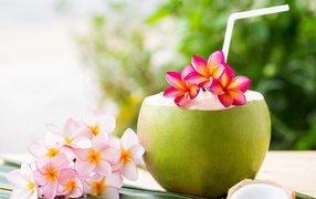 Коктейль в кокосе с цветами плюмерии 