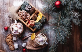 Зеленая еловая ветка на столе с печеньем и шишками