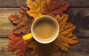 Чашка горячего кофе стоит на осенних листьях 