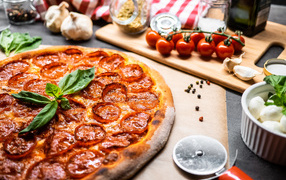 Pepperoni pizza on the table with vegetables and spices