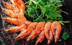 Вареные креветки на столе с зеленью рукколы