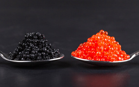 Красная и черная икра на ложках на сером фоне