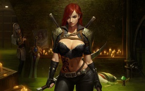 Девушка воин Katarina в замке 