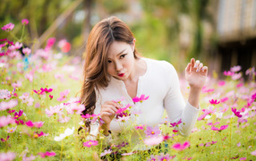 Красивая девушка азиатка в цветах космеи