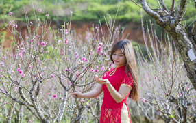 Красивая азиатка в красном наряде у дерева сакуры