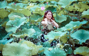 Красивая девушка азиатка в зеленых листьях лотоса 
