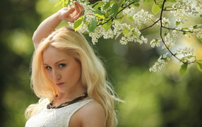 Красивая блондинка у ветки с белыми цветами