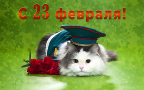 Кот с гвоздиками и фуражке на День Защитника Отечества 23 февраля