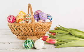 Basket with multi-colored eggs and tulips for Easter Light holiday