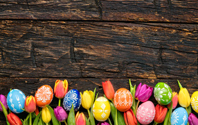 Colorful eggs and tulip flowers, template for Easter cards