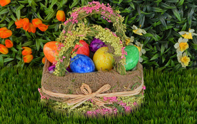 Multi-colored Easter eggs in a basket on the green grass for the holiday