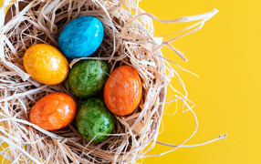 Multi-colored colored eggs in a nest for a light Easter holiday