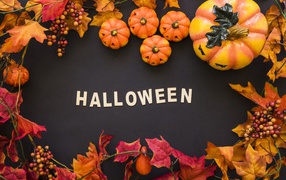 Festive decor on a gray background for the holiday Halloween