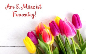 Красивый букет  тюльпанов на Международный женский день 8 марта