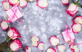 Красивые розовые розы с лепестками и подарками