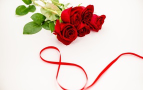 Bouquet of red roses and the number 8 from a satin ribbon on a white background