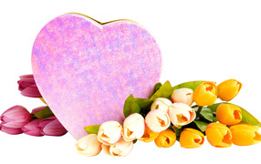 Heart shaped box and a bouquet of tulips on a white background on March 8