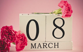 Розовые гвоздики в подарок на 8 марта