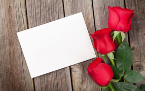 Three red roses and a sheet of paper, greeting card template