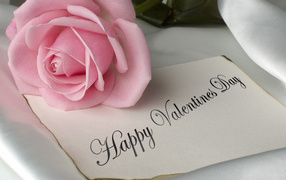 Розовая роза и открытка на День Святого Валентина 