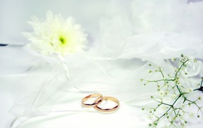 Two gold wedding rings on a white background with flowers
