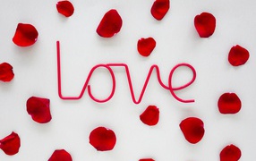 Розовая надпись Love на сером фоне с лепестками розы 