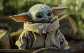 Маленький Мандалорец с большими ушами
