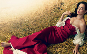 Красивая певица Кэти Перри лежит на соломе