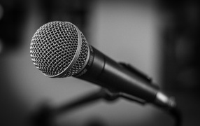 Микрофон SHURE SM 58 на стойке