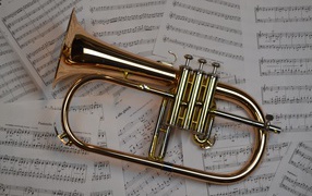Музыкальный инструмент труба лежит на нотах 