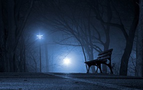 Лавочка в холодном ночном парке 