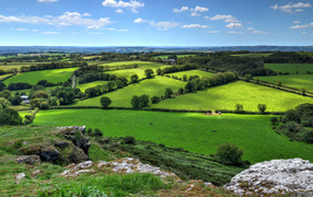 Красивые зеленые луга в лучах солнца под голубым небом