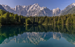 Зеленый хвойный лес и горы отражаются в воде 