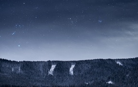 Вид на ночное небо со звездами над лесом