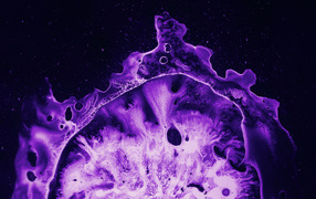 Фиолетовый коралл под микроскопом 