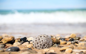 Разные камни лежат на желтом песке у моря 