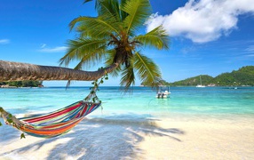 Multi-colored hammock hanging on a palm tree on a tropical beach