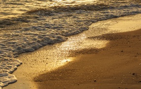 Белая морская пена на желтом мокром песке на пляже