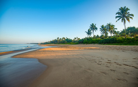 Желтый песок на тропическом пляже на рассвете 