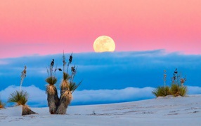 Big yellow moon in a pink sky with clouds over the desert