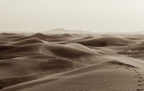 Endless desert sands