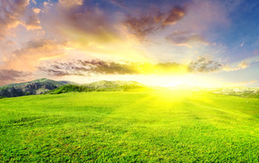 Восход солнца на зелеными полями 