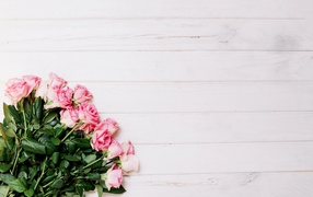 Букет красивых розовых роз на сером фоне 