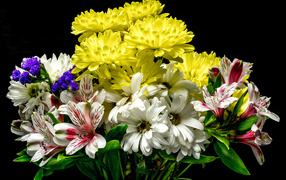 Букет из цветов хризантемы и альстромерии на черном фоне